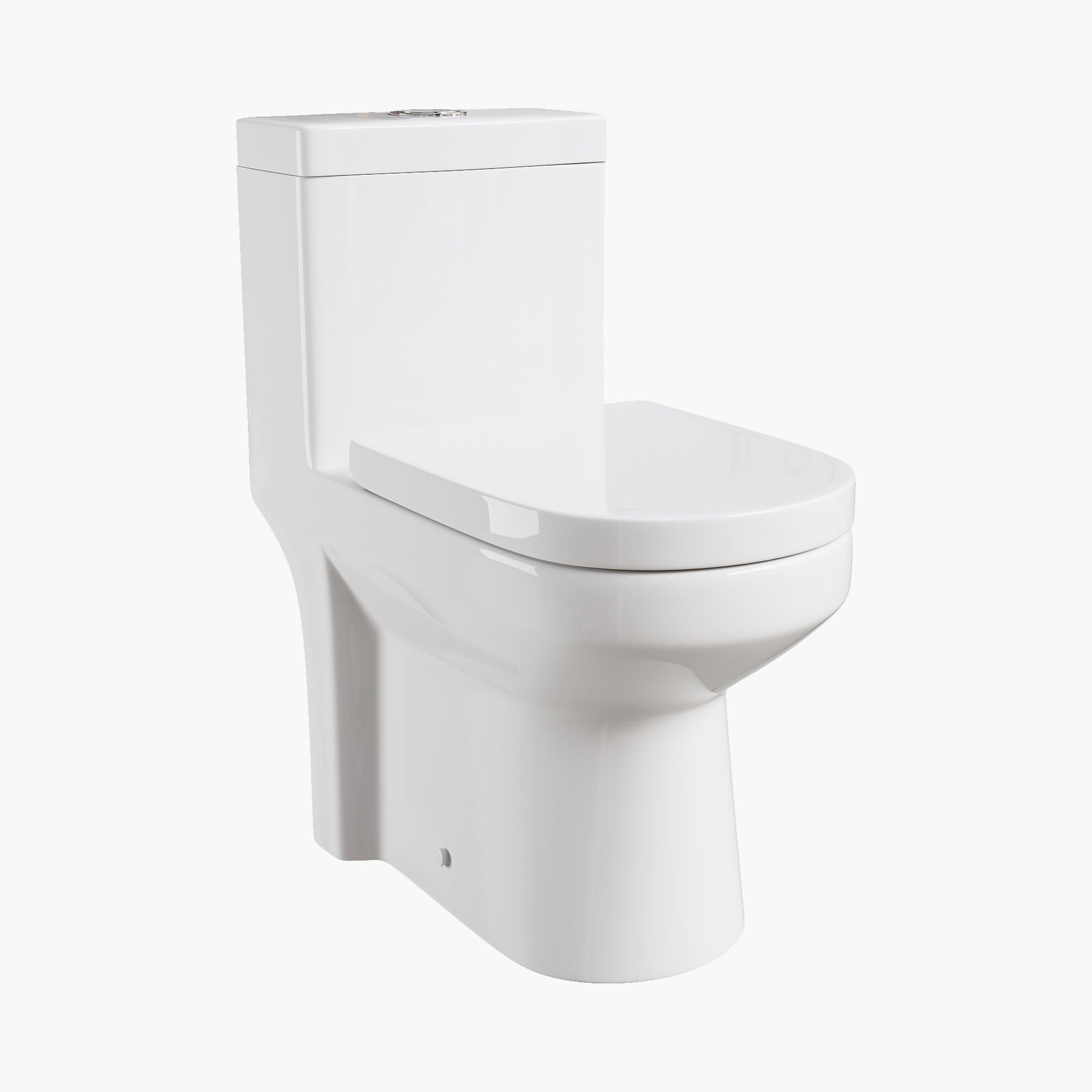 12 Inch Rough In Toilet Dual Flash One Piece Elongated Toilet Model 8733S