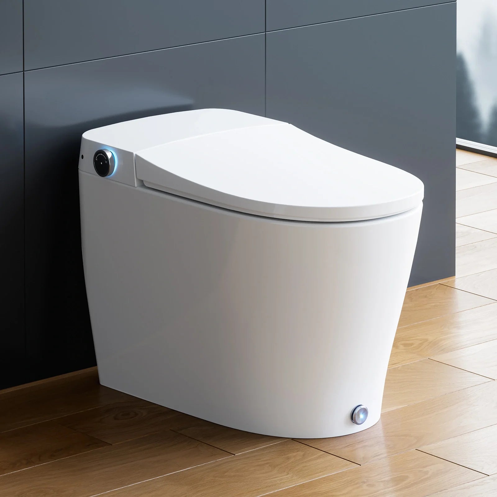 Best Bidet Toilet Combo Heated Toilet Seat Elongated Model T05